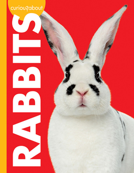 Curious about Rabbits (Paperback)