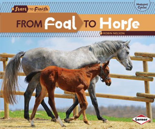 From Foal to Horse (Paperback)