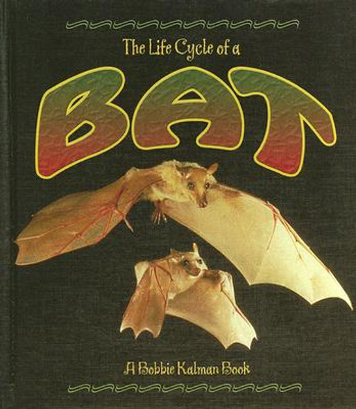 The Life Cycle of a Bat (Hardcover)