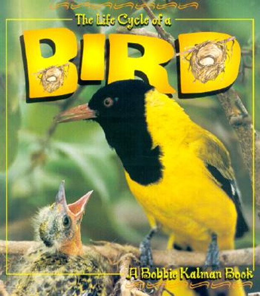 The Life Cycle of a Bird (Paperback)