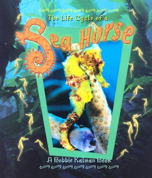 Sea Horse (Paperback) Sea Horse (Paperback)