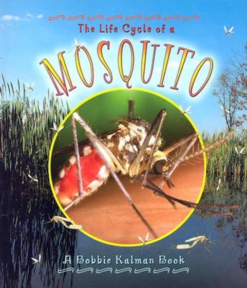 Mosquito (Paperback)