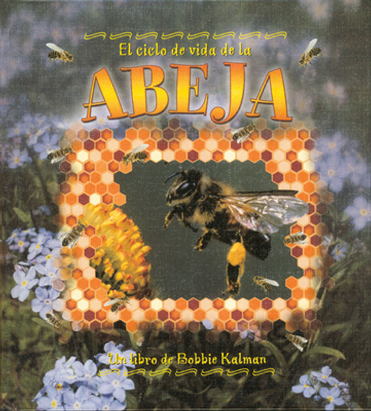 El Ciclo de Vida de la Abeja (the Life Cycle of a Honeybee) = Life Cycle of a Honeybee (Library Binding)