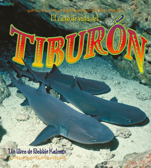 El Ciclo de Vida del Tiburón (the Life Cycle of a Shark) (Library Binding)
