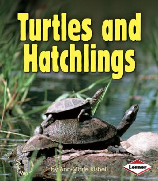 Turtles and Hatchlings (Paperback)