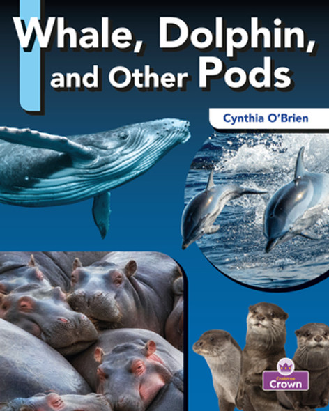 Whale, Dolphin, and Other Pods (Library Binding)