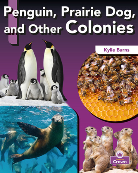 Penguin, Prairie Dog, and Other Colonies (Paperback)