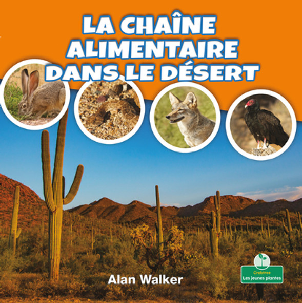 La Chaîne Alimentaire Dans Le Désert (Food Chain in a Desert) (Paperback)