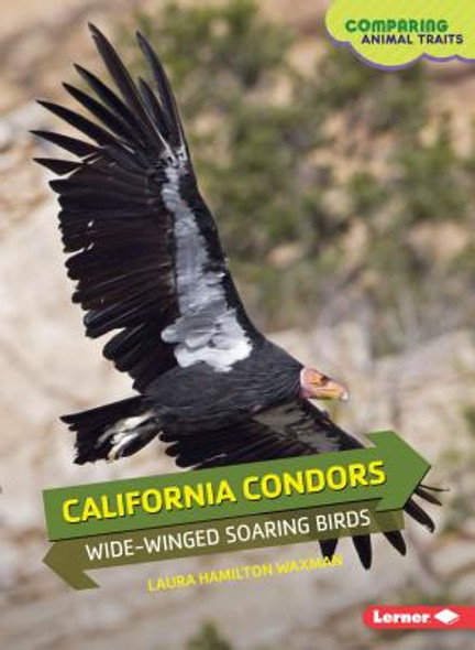 California Condors: Wide-Winged Soaring Birds (Paperback)