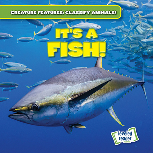 It's a Fish! (Paperback)