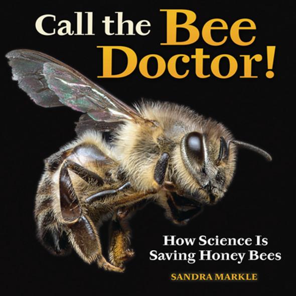 Call the Bee Doctor!: How Science Is Saving Honey Bees (Library Binding)