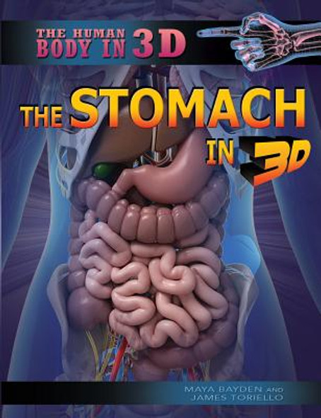 The Stomach in 3D (Library Binding)