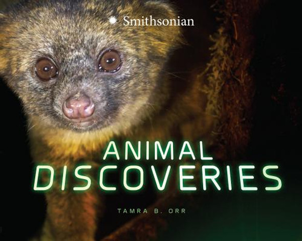 Animal Discoveries (Paperback)