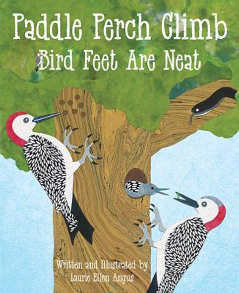 Paddle Perch Climb: Bird Feet Are Neat (Paperback)