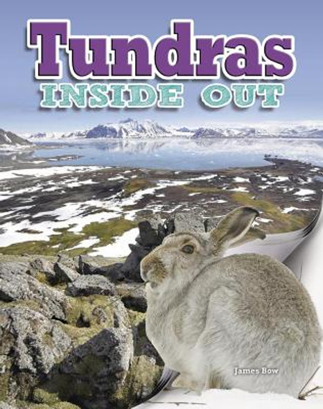 Tundras Inside Out (Hardcover)