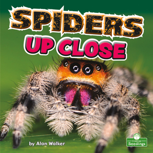 Spiders Up Close (Paperback)