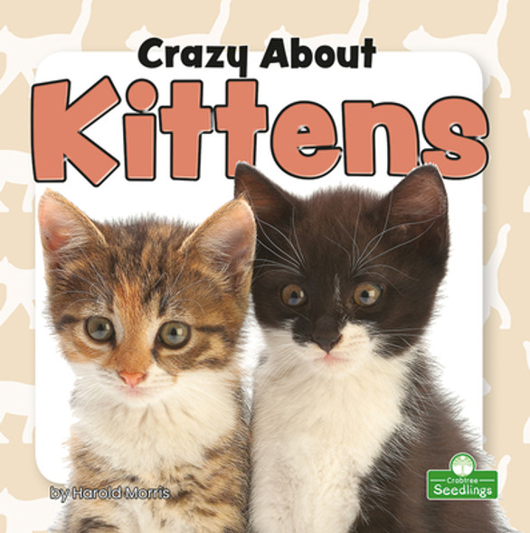 Crazy about Kittens (Paperback)