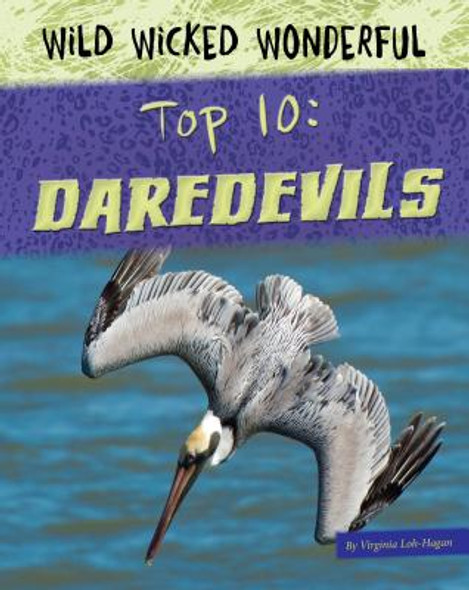 Daredevils (Paperback)