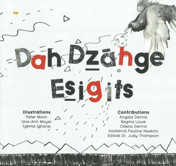 Dah Dz&#257;hge Esigits: We Write Our Language (Paperback)
