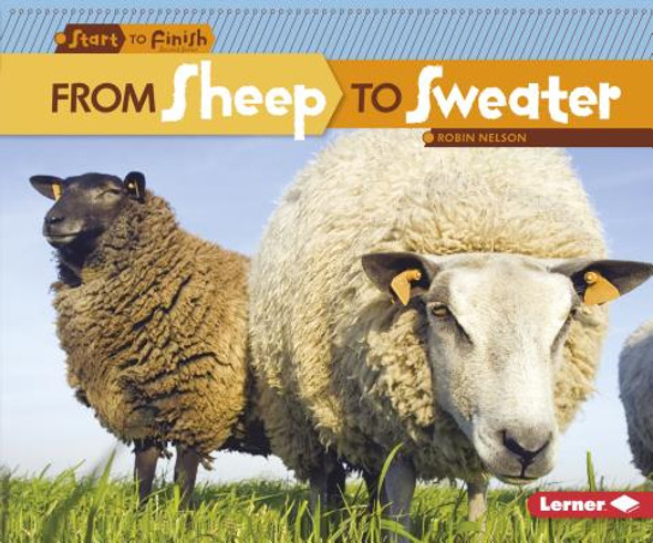 From Sheep to Sweater (Paperback)