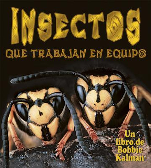 Insectos Que Trabajan En Equipo (Insects That Work Together) (Paperback)