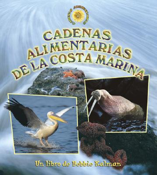 Cadenas Alimentarias de la Costa Marina (Seashore Food Chains) (Paperback)