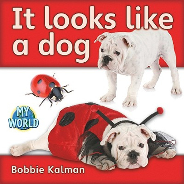 It Looks Like a Dog (Hardcover)