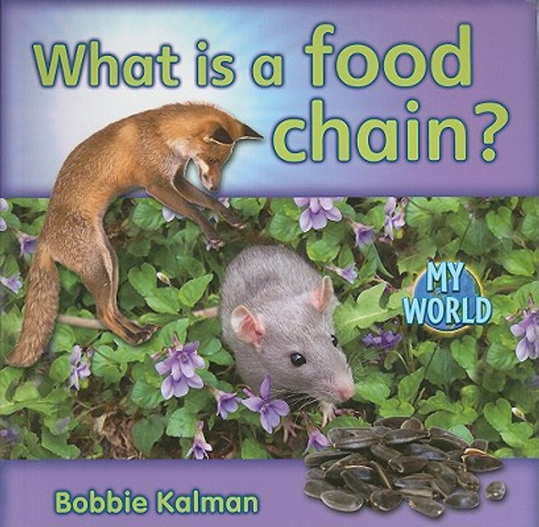 What Is a Food Chain? (Paperback)