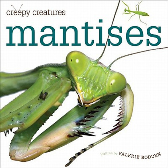Creepy Creatures: Mantises (Paperback)