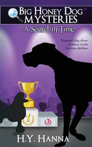 A Secret in Time (Paperback)