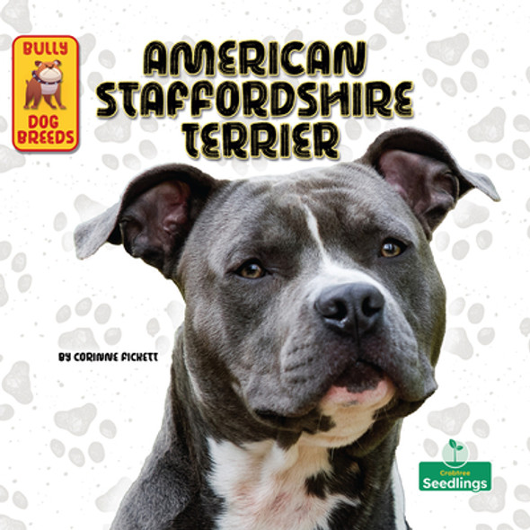 American Staffordshire Terrier (Paperback)