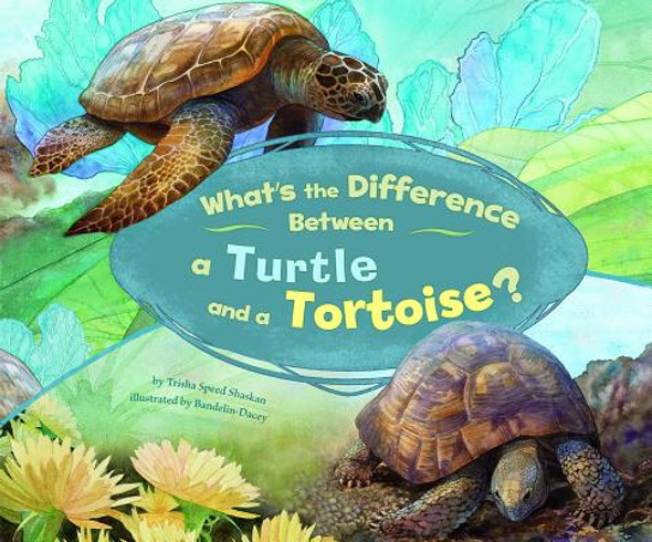 What's the Difference Between a Turtle and a Tortoise? (Hardcover)