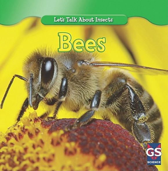 Incredible Bees (Paperback)
