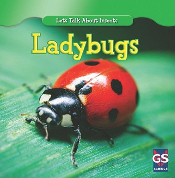 Incredible Ladybugs (Paperback)