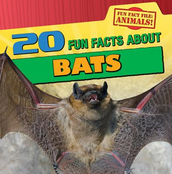 20 Fun Facts about Bats (Paperback)
