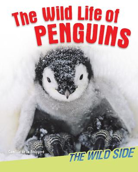 The Wild Life of Penguins (Paperback)