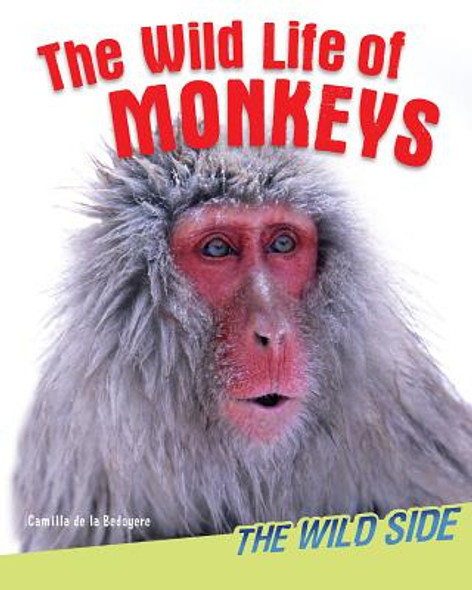 The Wild Life of Monkeys (Library Binding)