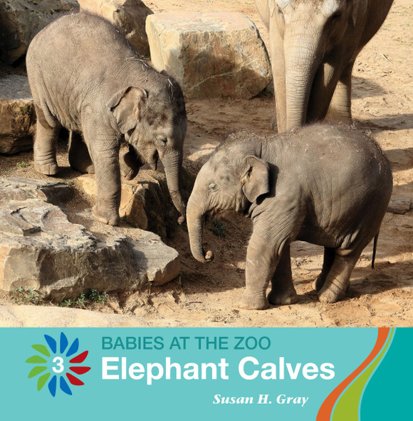 21st Century Basic Skills Library: Elephant Calves (Paperback)
