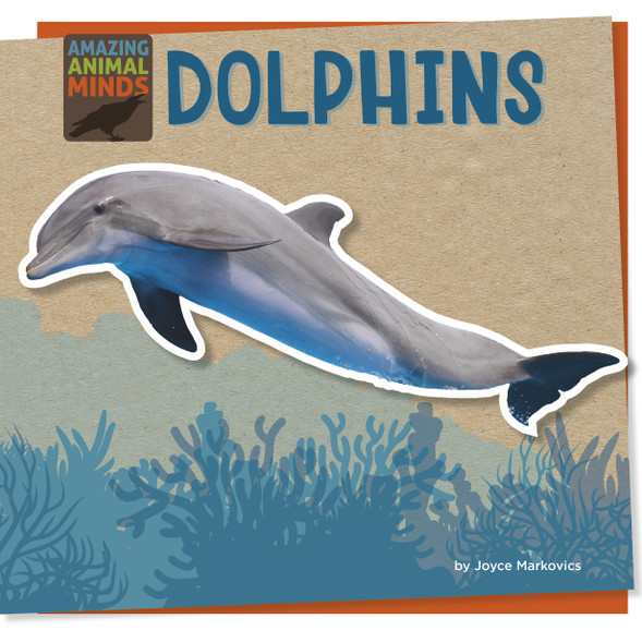 Amazing Animal Minds: Dolphins (Library binding)