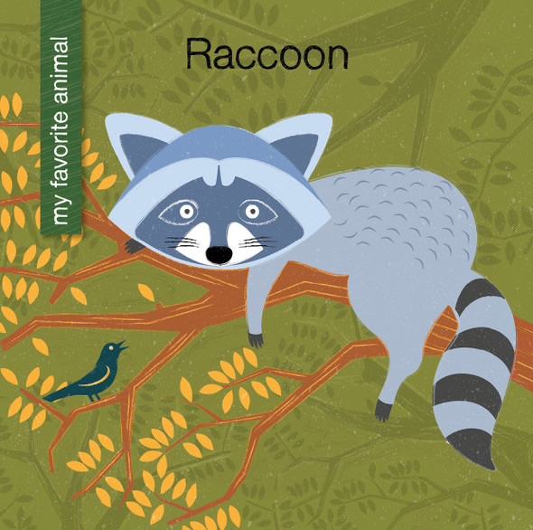 My Early Library: Raccoon (Library binding)