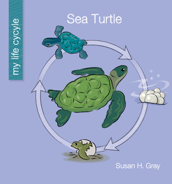My Early Library: Sea Turtle (Paperback)