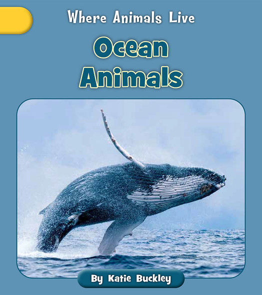 Where Animals Live: Ocean Animals (Paperback)