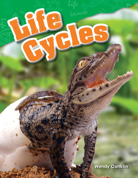 Life Cycles,  (Paperback)