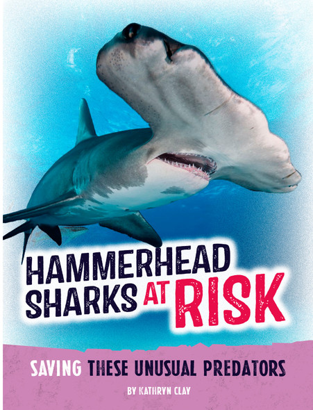 Animals at Risk: Hammerhead Sharks at Risk (Paperback)