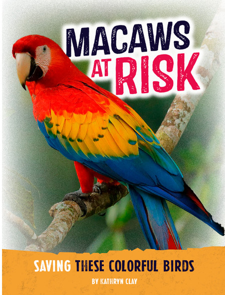 Animals at Risk: Macaws at Risk (Hardcover)