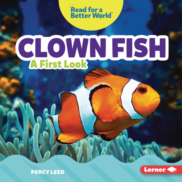 Clown Fish: A First Look (Library Binding)