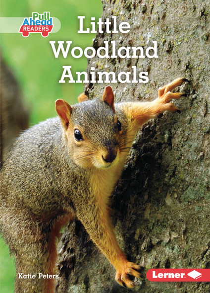 Little Woodland Animals (Paperback) Little Woodland Animals (Paperback)