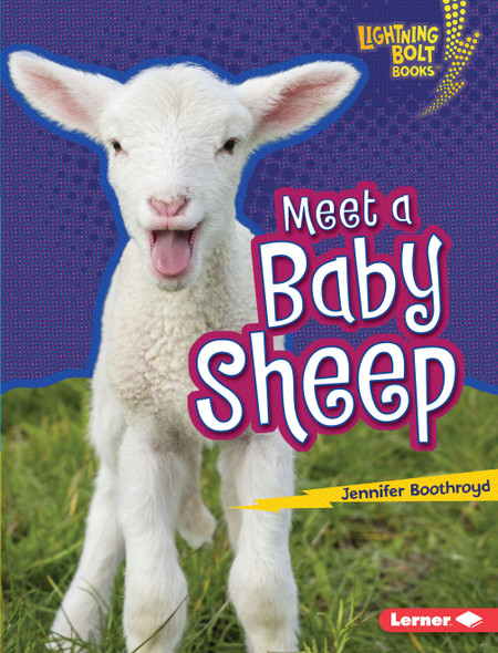 Meet a Baby Sheep (Library Binding) Meet a Baby Sheep (Library Binding)