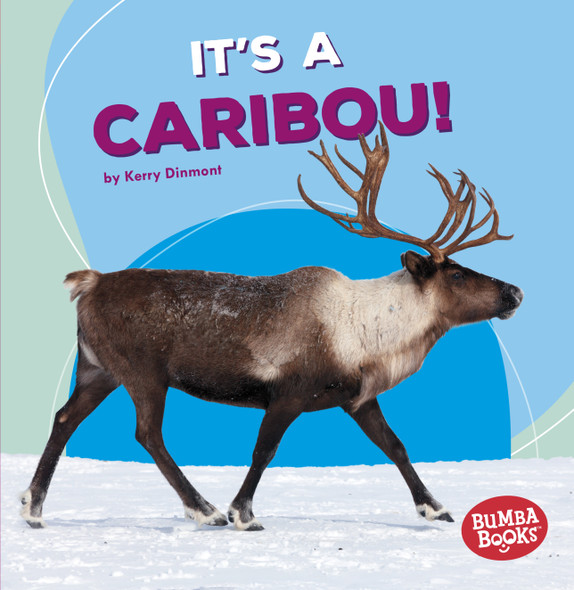 It's a Caribou! (Paperback)
