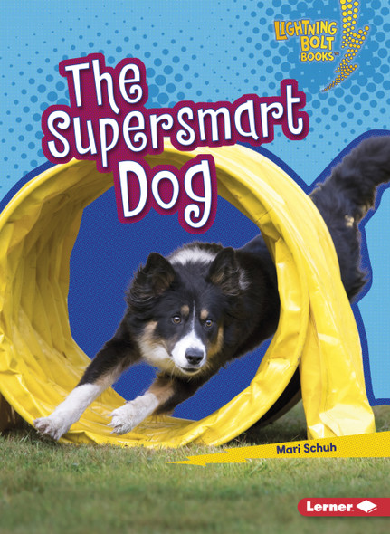The Supersmart Dog (Paperback)